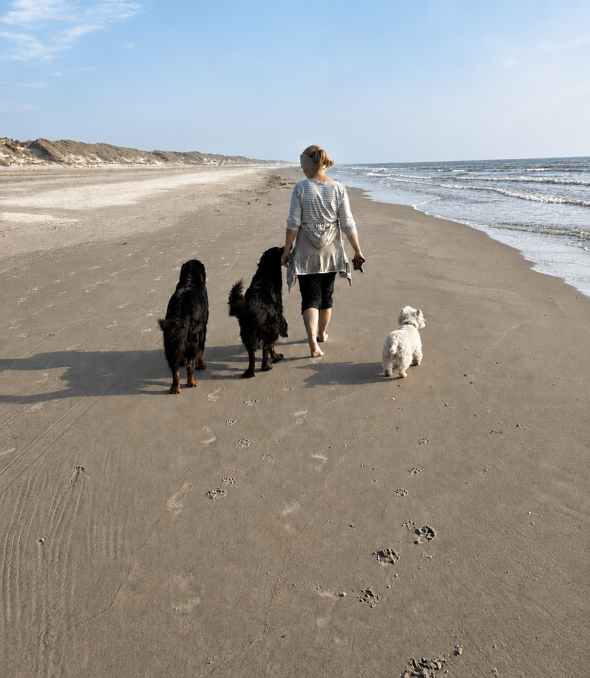 strand alle 540x621